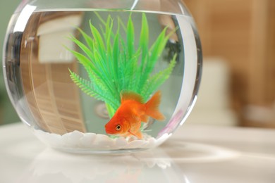 Photo of Gold fish swimming in aquarium with clean water on white table indoors, closeup