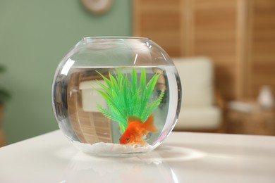 Photo of Gold fish swimming in aquarium with clean water on white table indoors