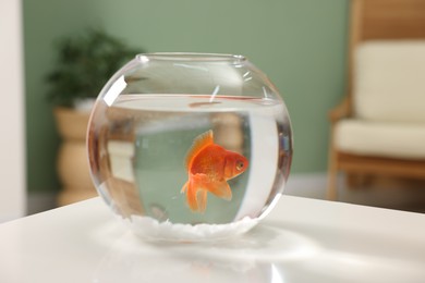 Photo of Gold fish swimming in aquarium with clean water on white table indoors