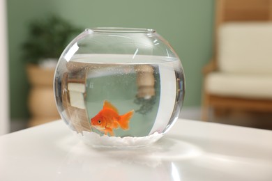 Photo of Gold fish swimming in aquarium with clean water on white table indoors