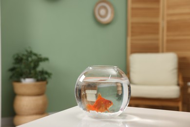 Photo of Gold fish swimming in aquarium with clean water on white table indoors