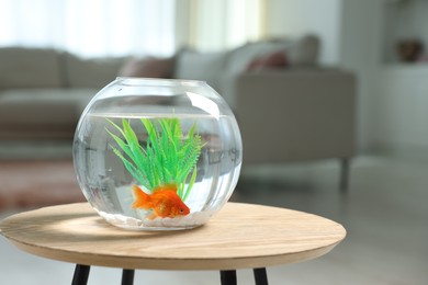Photo of Gold fish swimming in aquarium with clean water on wooden table indoors, space for text