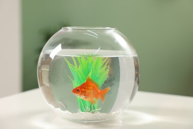 Photo of Gold fish swimming in aquarium with clean water on white table indoors