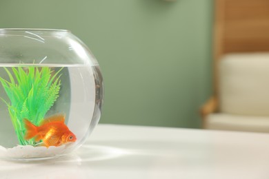 Photo of Gold fish swimming in aquarium with clean water on white table indoors, space for text