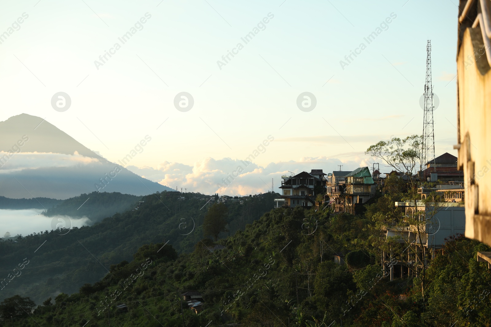 Many residential buildings and trees on mountain Photo of Many residential buildings and trees on mountain