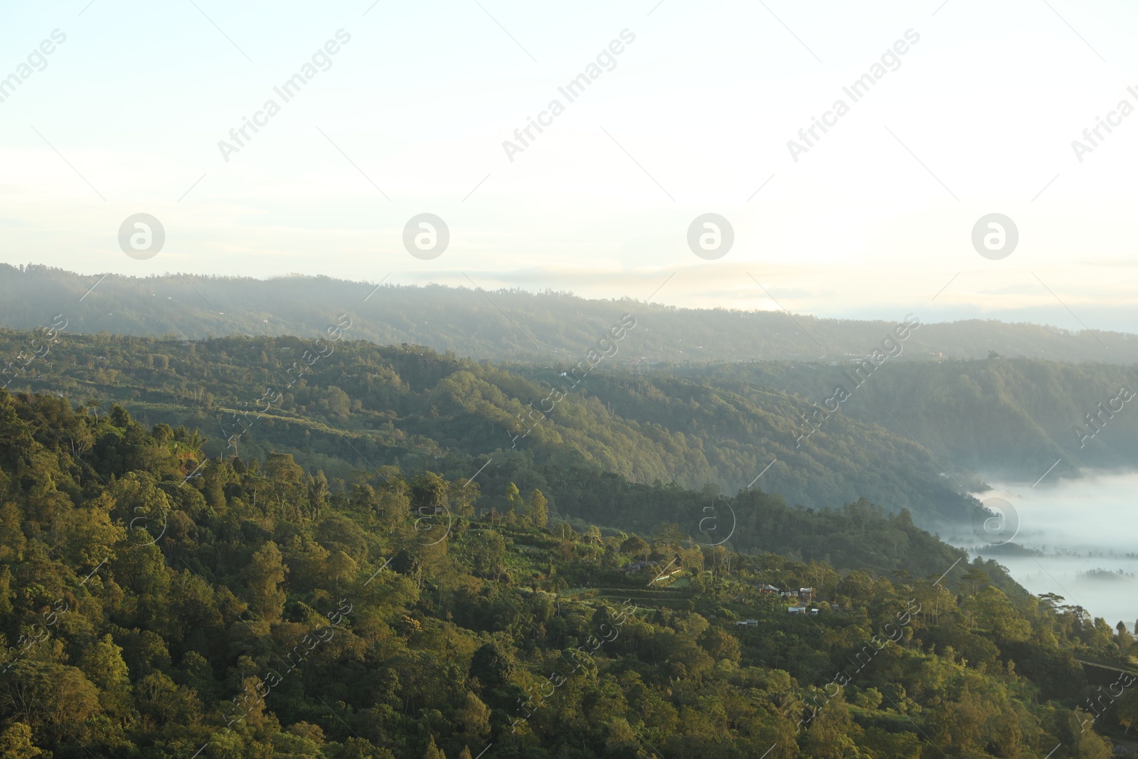 View of fog covering beautiful mountain forest Photo of View of fog covering beautiful mountain forest