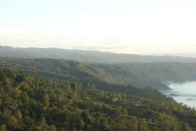 Photo of View of fog covering beautiful mountain forest