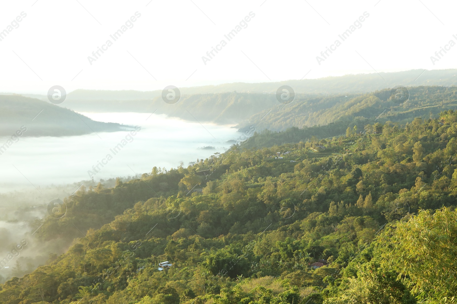 View of fog covering beautiful mountain forest Photo of View of fog covering beautiful mountain forest