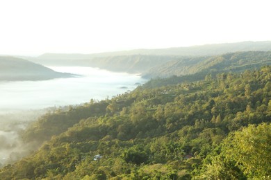 Photo of View of fog covering beautiful mountain forest