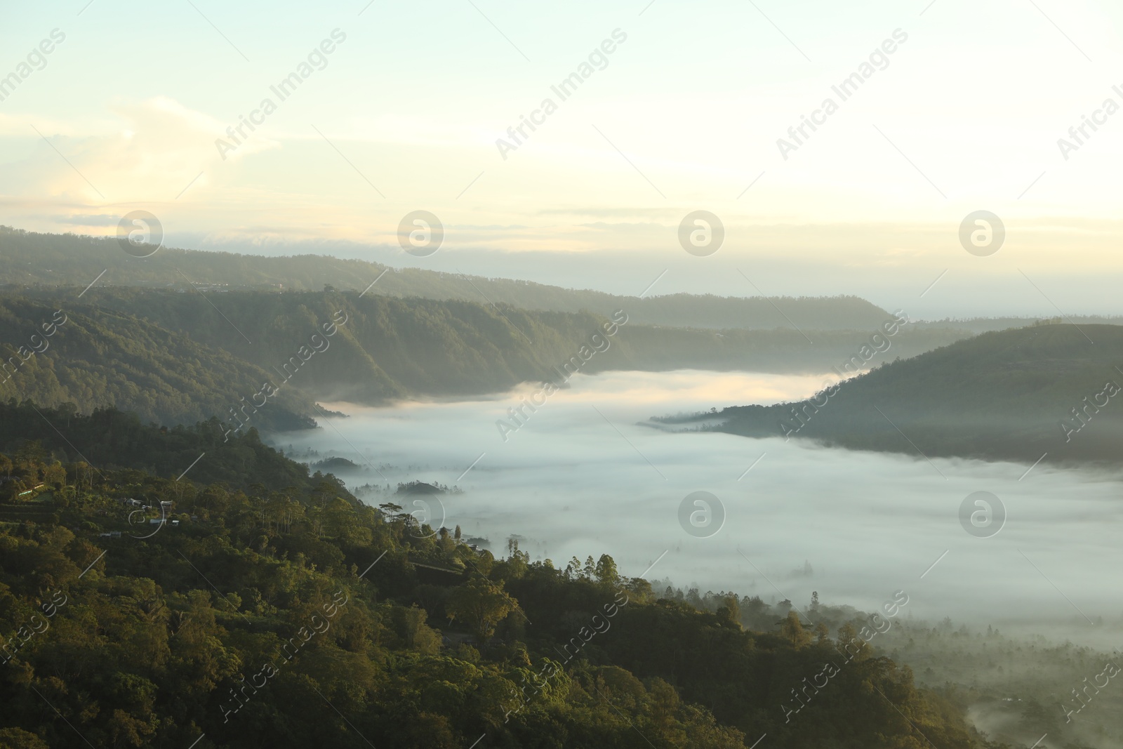 View of fog covering beautiful mountain forest Photo of View of fog covering beautiful mountain forest