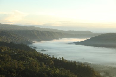 Photo of View of fog covering beautiful mountain forest