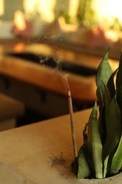 Photo of Plant with burning incense and stylish furniture indoors, selective focus