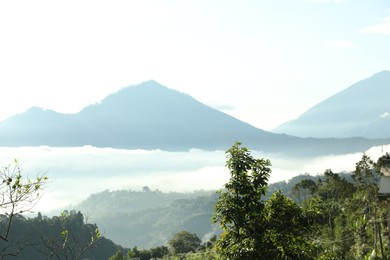 Photo of Picturesque view of mountains covered with fog