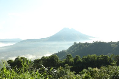 Photo of Picturesque view of mountains covered with fog