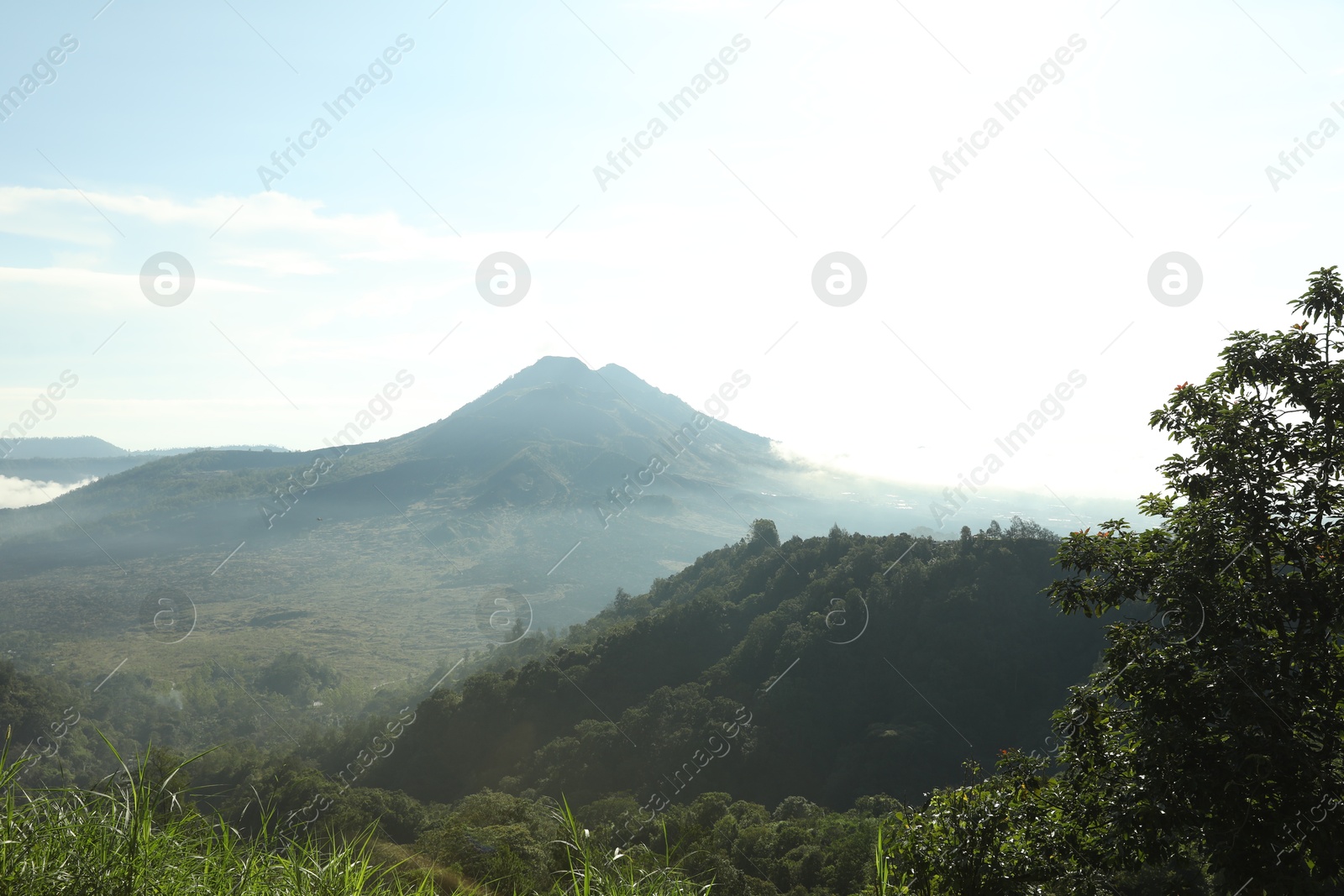 Picturesque view of mountains covered with forest Photo of Picturesque view of mountains covered with forest
