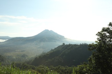 Photo of Picturesque view of mountains covered with forest