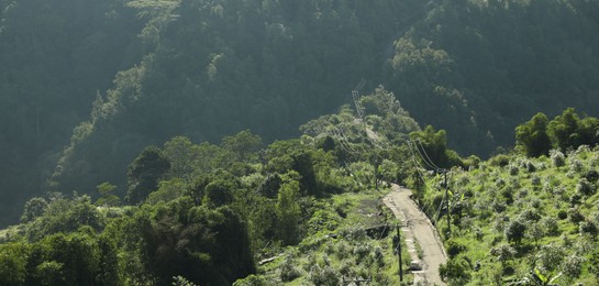 Photo of View of pathway through forest in mountains