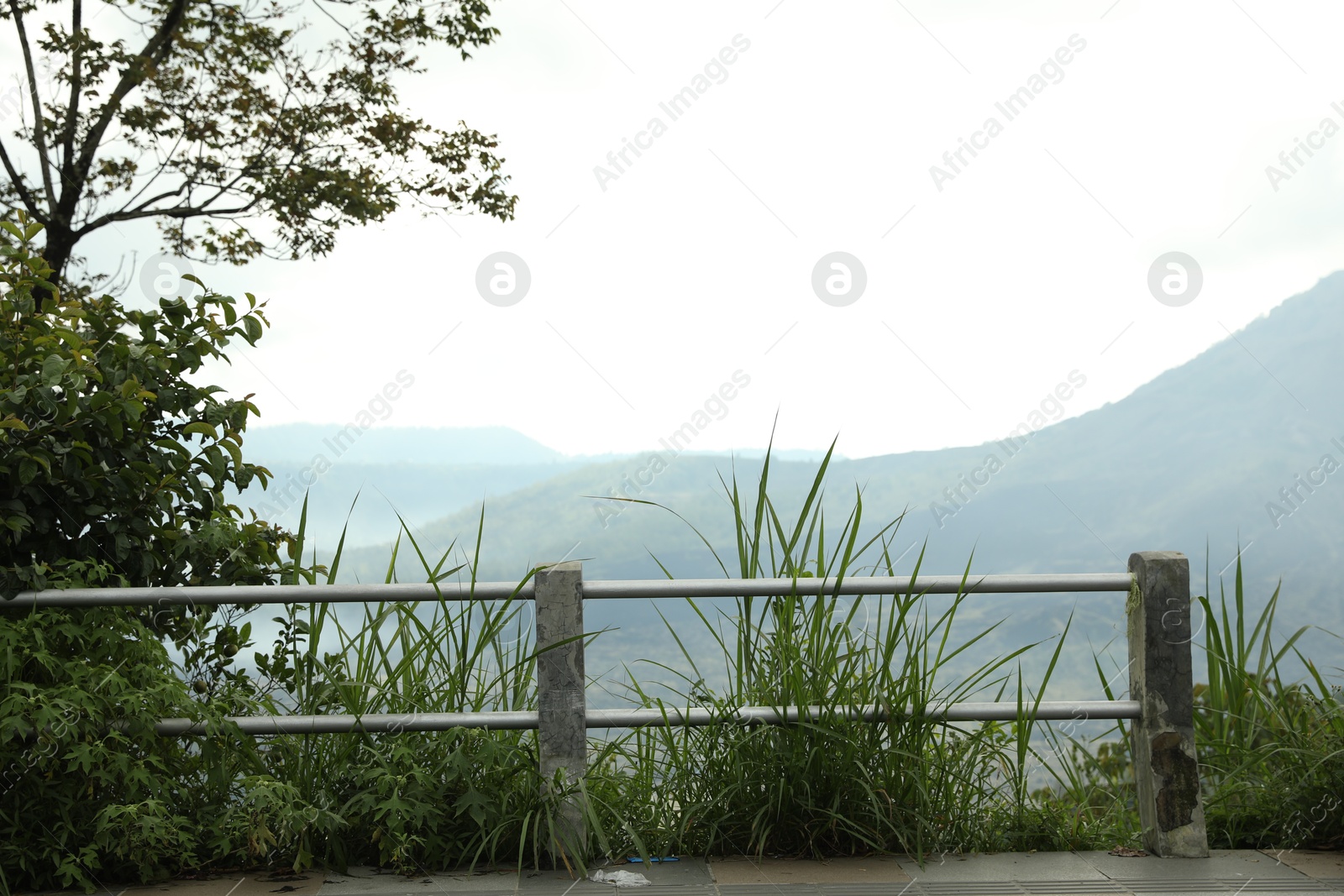 Picturesque view of beautiful mountains covered with forest Photo of Picturesque view of beautiful mountains covered with forest