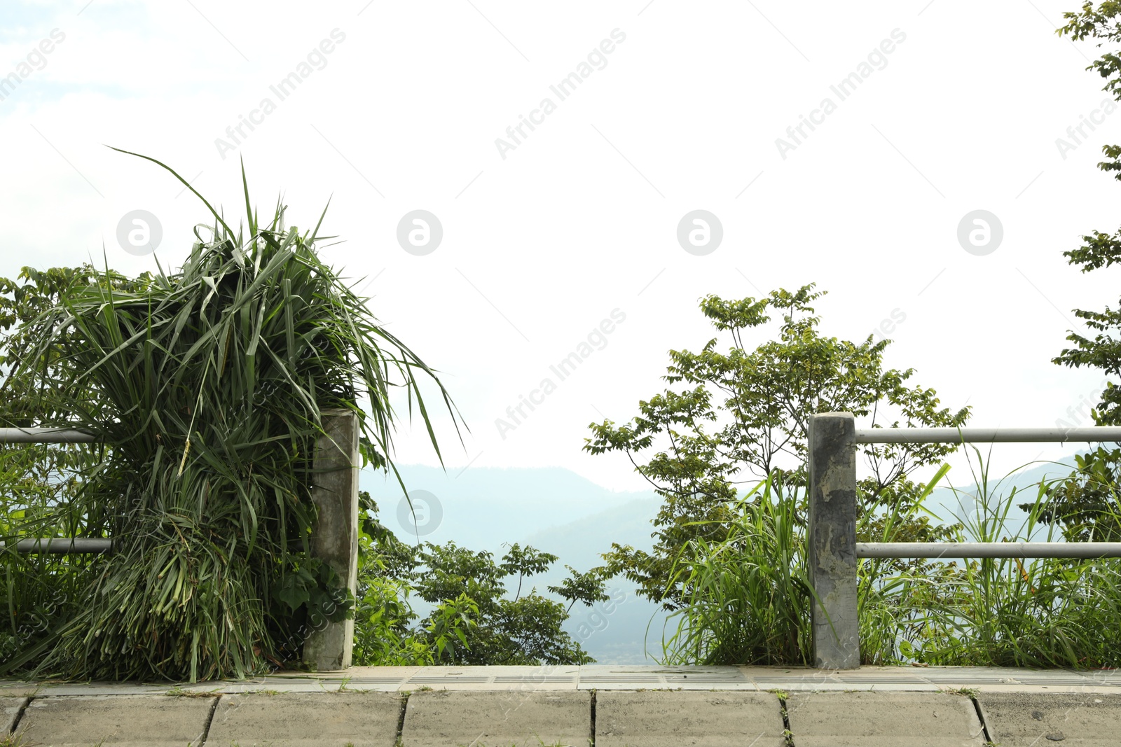 Scenery viewpoint on beautiful mountains covered with forest Photo of Scenery viewpoint on beautiful mountains covered with forest