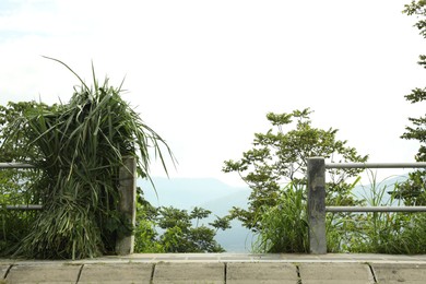 Photo of Scenery viewpoint on beautiful mountains covered with forest