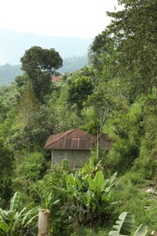 Photo of Building surrounded with different trees on hill