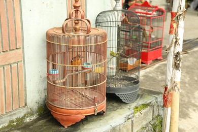 Photo of Beautiful birds in cages on market outdoors