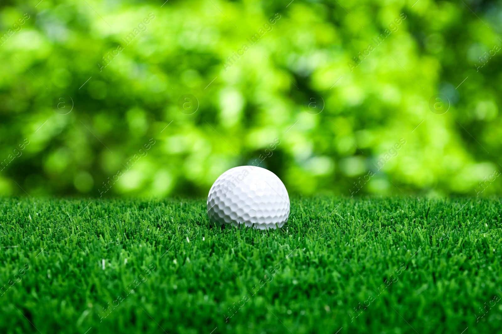 Golf ball on green grass outdoors, closeup Image of Golf ball on green grass outdoors, closeup