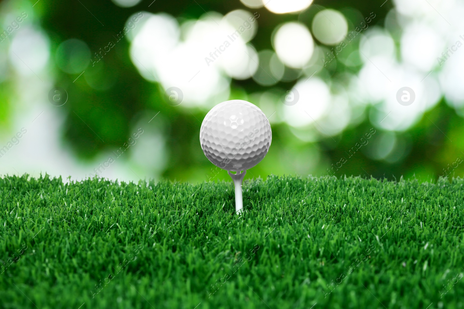 Golf ball on green grass outdoors, closeup Image of Golf ball on green grass outdoors, closeup