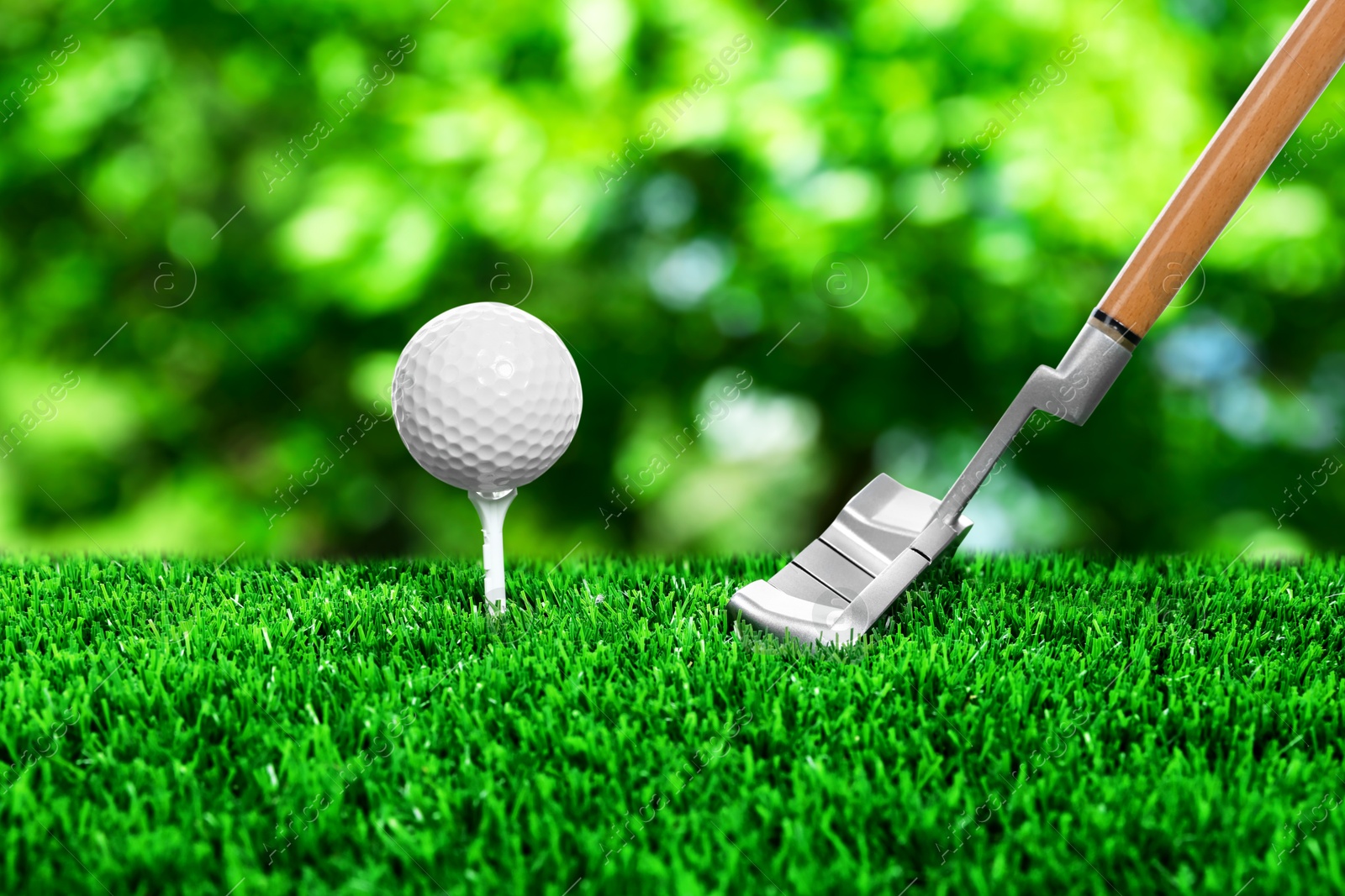 Golf ball on green grass and club outdoors, closeup Image of Golf ball on green grass and club outdoors, closeup