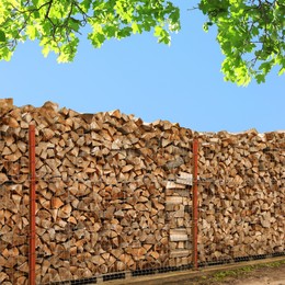 Image of Stacked cut firewood under tree branches with green leaves
