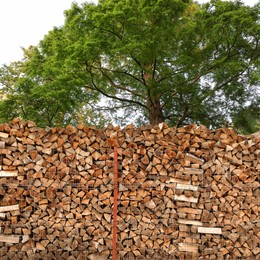 Image of Stacked cut firewood near green trees outdoors
