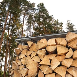 Image of Stacked cut firewood under roof near trees outdoors