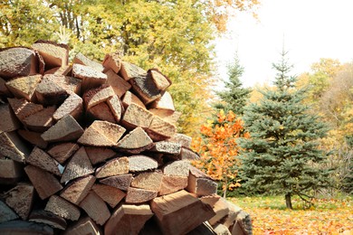 Image of Stacked firewood near trees on sunny day