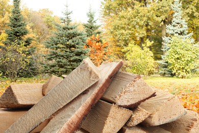 Image of Pile of cut firewood near trees outdoors