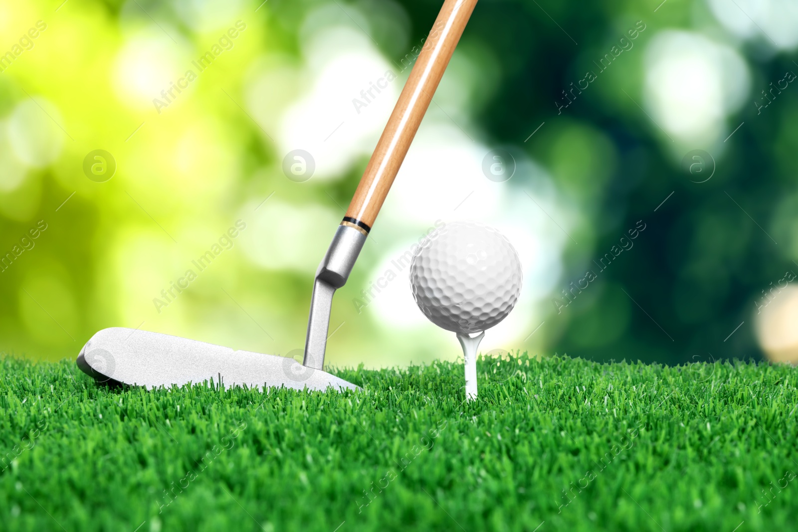 Golf ball on green grass and club outdoors, closeup Image of Golf ball on green grass and club outdoors, closeup