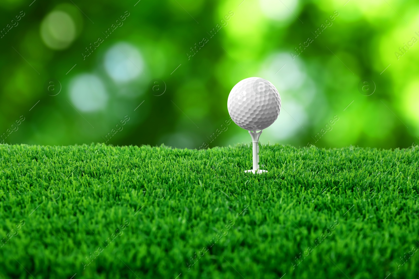 Golf ball on green grass outdoors, closeup Image of Golf ball on green grass outdoors, closeup