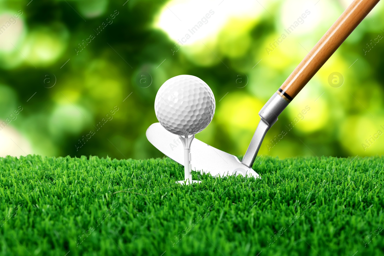 Golf ball on green grass and club outdoors, closeup Image of Golf ball on green grass and club outdoors, closeup