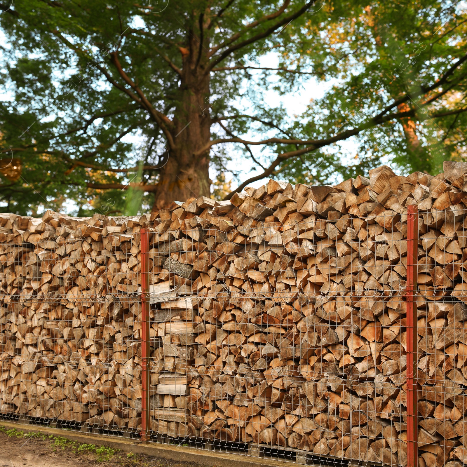 Stacked cut firewood near green trees outdoors Image of Stacked cut firewood near green trees outdoors