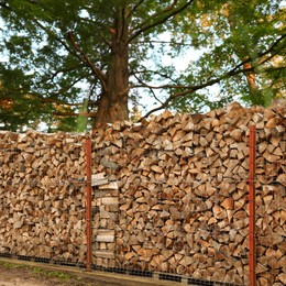 Image of Stacked cut firewood near green trees outdoors