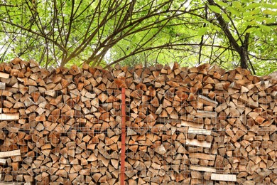 Image of Stacked cut firewood near trees in forest