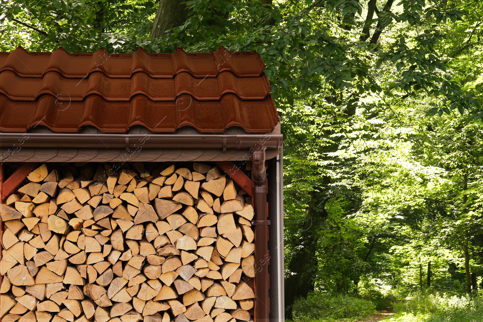 Stacked cut firewood near green trees in forest Image of Stacked cut firewood near green trees in forest