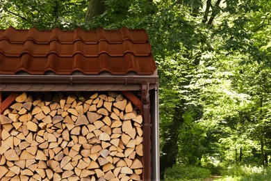 Image of Stacked cut firewood near green trees in forest