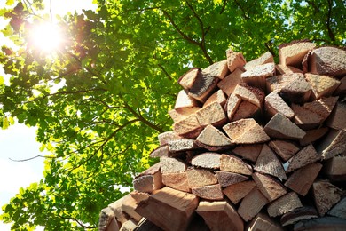 Image of Pile of cut firewood near green tree outdoors