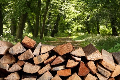 Image of Pile of cut firewood near green trees outdoors