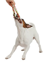 Photo of Woman with toy training her dog on white background, closeup. Lovely pet