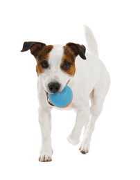 Photo of Cute dog playing with toy on white background. Lovely pet