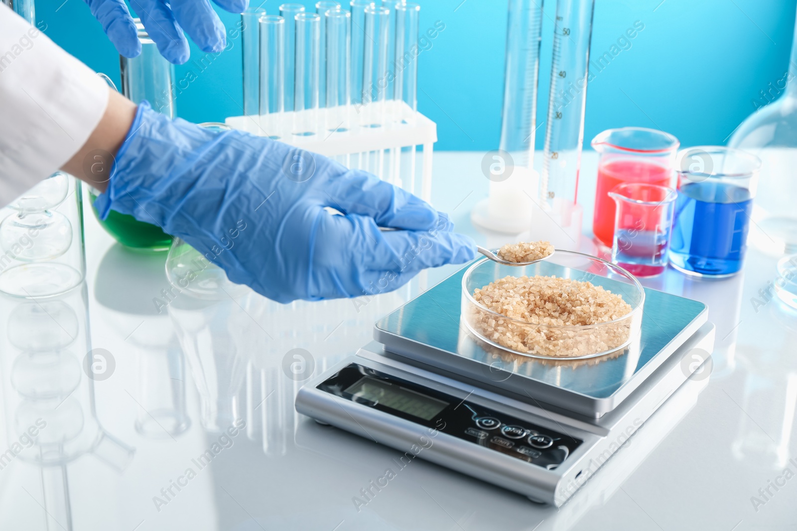 Scientist weighing Petri dish with sample on scales at white mirror table against light blue background, closeup Photo of Scientist weighing Petri dish with sample on scales at white mirror table against light blue background, closeup