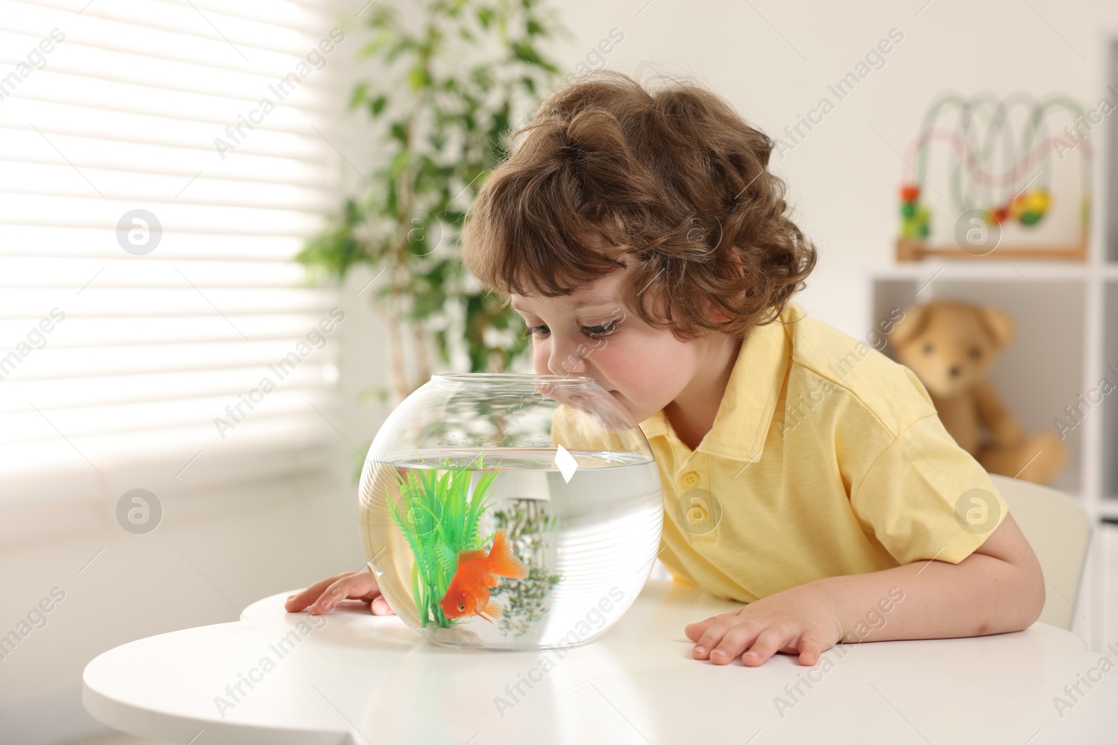 Photo of Little boy with goldfish in aquarium on table at home