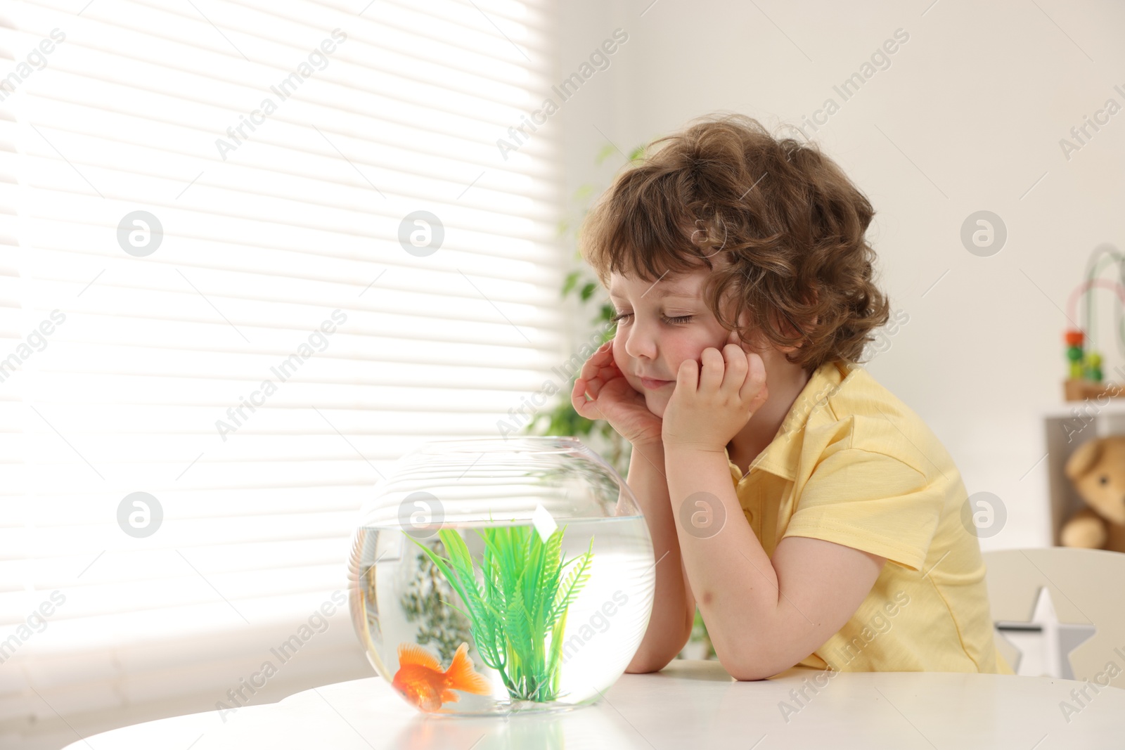 Little boy with goldfish in aquarium making wish at home. Space for text Photo of Little boy with goldfish in aquarium making wish at home. Space for text