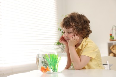 Photo of Little boy with goldfish in aquarium making wish at home. Space for text